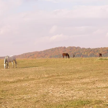 Stajnia Bialy Borek Guest house Biskupice (Czestochowa)