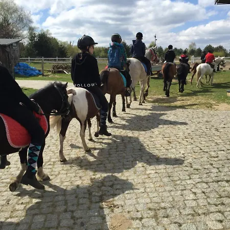 Stajnia Bialy Borek