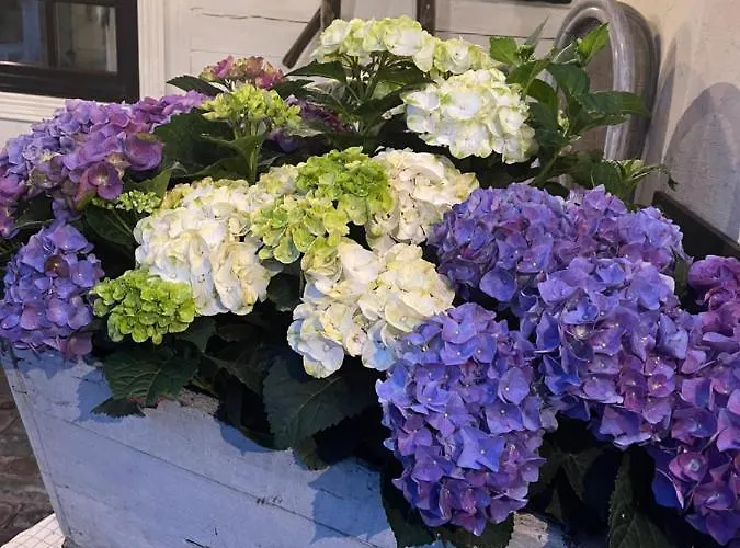 Stajnia Bialy Borek Pensión Biskupice Kocurów