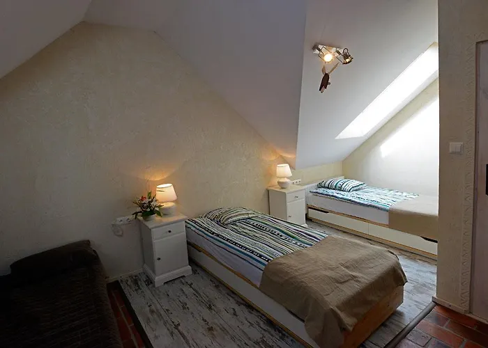 Stajnia Bialy Borek Biskupice Kocurów