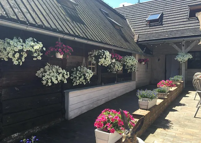 Stajnia Bialy Borek *