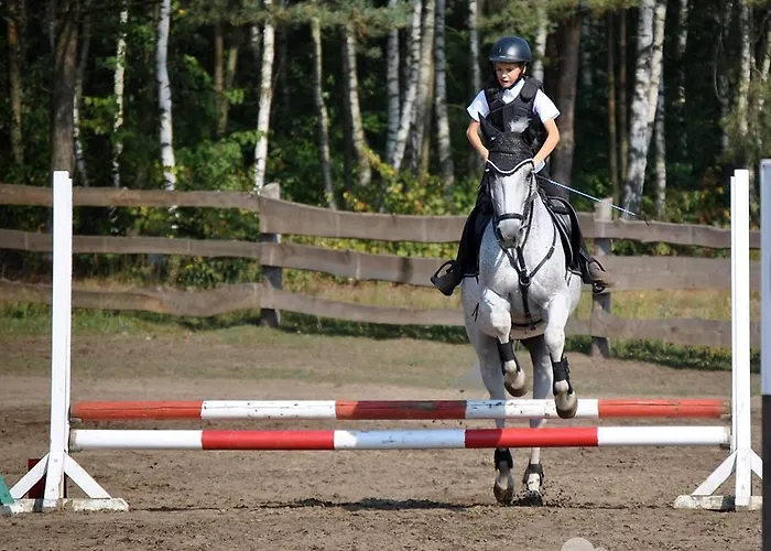 בית הארחה Stajnia Bialy Borek *