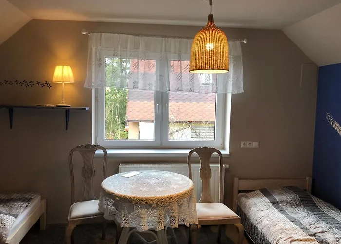 Stajnia Bialy Borek Biskupice Kocurów