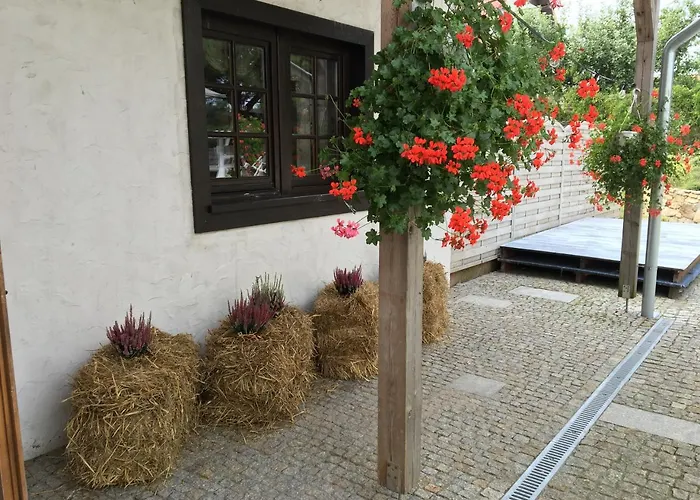 Stajnia Bialy Borek * Biskupice Kocurów